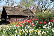 The Shakespeare Garden in Central Park.