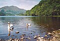 Loch Achray in[Ben Venue