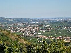 Panorama