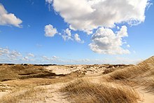 Amrum M Suessen-4449.jpg