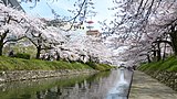 松川公園（富山県富山市）