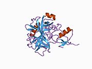 1cgj: THREE-DIMENSIONAL STRUCTURE OF THE COMPLEXES BETWEEN BOVINE CHYMOTRYPSINOGEN*A AND TWO RECOMBINANT VARIANTS OF HUMAN PANCREATIC SECRETORY TRYPSIN INHIBITOR (KAZAL-TYPE)