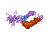 1va1: Solution Structure of Transcription Factor Sp1 DNA Binding Domain (Zinc Finger 1)