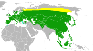 Levila Aafrikas ja Euraasias