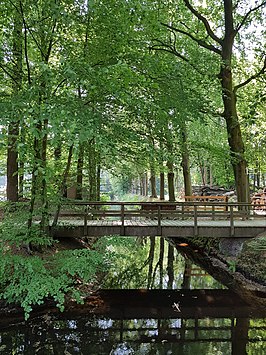 Pijnenburger grift ten hoogte van de Wieksloot