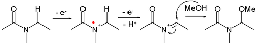 Shonova oxidace