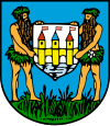 Wappen von Schwechat