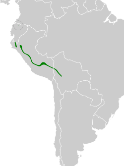 Distribución geográfica del ponchito pechicastaño norteño.