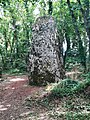 L'un des trois menhirs de Kergloglé (dit Kergloglé B) en Plovan.