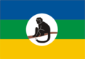 Drapeau des Bakonjo (Ouganda)[réf. nécessaire].