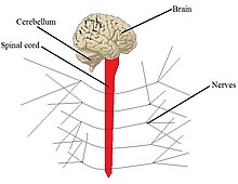 SystemExample.jpg