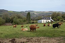 Paysage vallonné et bocagé vu de Gwazh-al-Ludu, arrière-plan : les hauteurs de Saint-Cadou au nord-ouest.