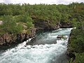 Parc national d'Abisko, 7 juin 2012