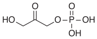 Dihydroxyacetone phosphate