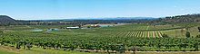 View across the Hunter Valley