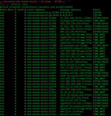 Várias linhas de netstat, em fonte verde com fundo de tela preto.