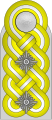 Papan bahu (Waffen-SS)