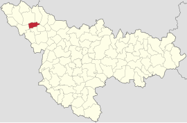 Location in Timiș County