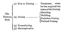 Uranismus(1896).jpg