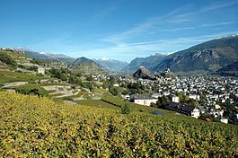 View of Sion from the vineyards