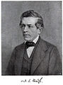 D. F. Strauss