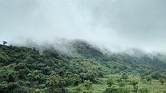 Der Gebirgszug im Nebel