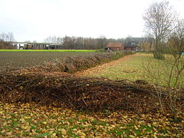 een ongeveer 1 meter hoge ril takken langs een weiland