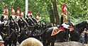 Trooping the colour