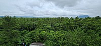 La foresta di Gotjawal, nell'isola di Jeju, in Corea del Sud