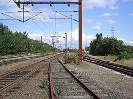 Spoor bij Station Rødekro