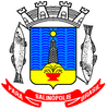 Official seal of Salinópolis