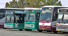 Buses02.jpg