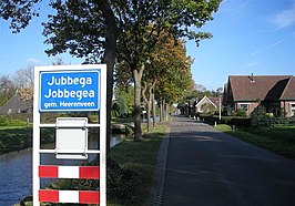 Jubbega