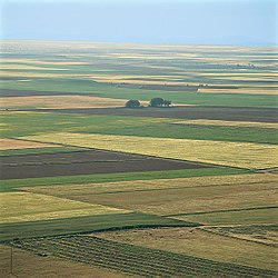 Tierra de Campos – Veduta