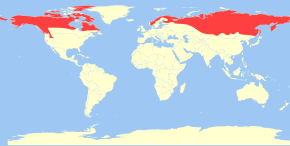 Description de l'image Gulo gulo distribution.svg.