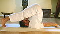 Halasana Aura