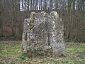 Menhir von Pierrelaye