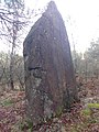 Le menhir de Ranion.