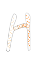 Image 29Fungi within Zygomycota form progametangia with suspensors during mating (from Mating in fungi)