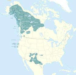 Ubicación de las lenguas na-dené en la época precolombina. Las lenguas na-dené, aunque son habladas por indígenas americanos, no pertenecen a la superfamilia amerindia.