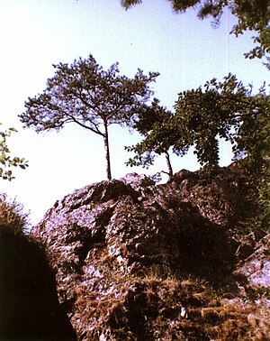 Burgfelse vu Nej-Bluembärg