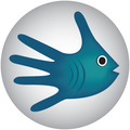 5fish Logo