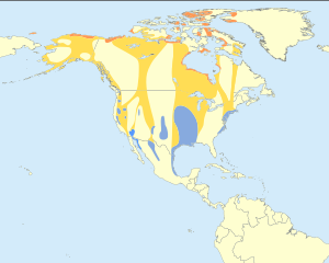 Natura arealo. Blue: reproduktejoj. Brune: vintrejoj