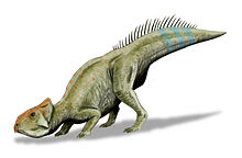 Leptoceratops BW.jpg