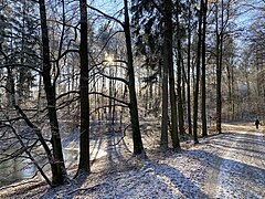 Große Waldflächen umgeben die Neyetalsperre