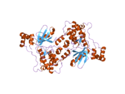 1zmv: Catalytic and ubiqutin-associated domains of MARK2/PAR-1: K82R mutant