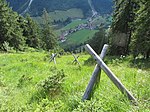 Sanierungsfläche im durch Wildschäden zerstörten alpinen Schutzwald