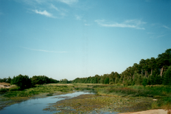 Vääna River near its mooth in Vääna-Jõesuu.