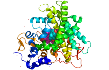 21-hydroxylase subunit.png