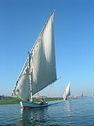 Lateen-rigged feluccas at Luxor, Egypt